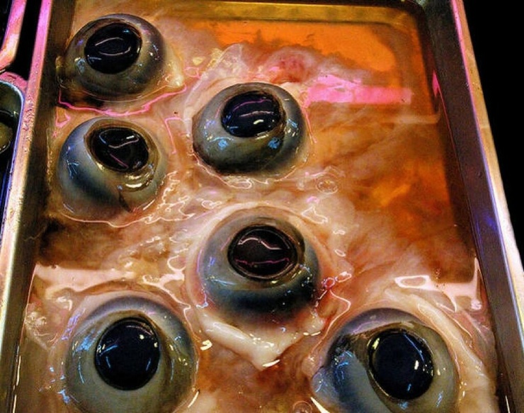 Глаз в тарелке (7 фото,видео)