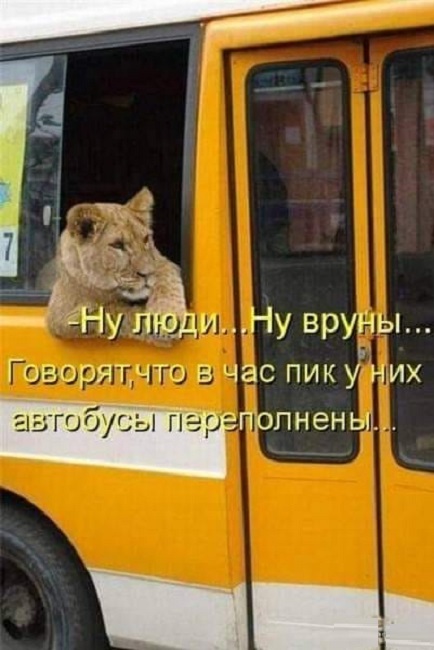 Улыбайтесь, господа, улыбайтесь! (07/11/2024)