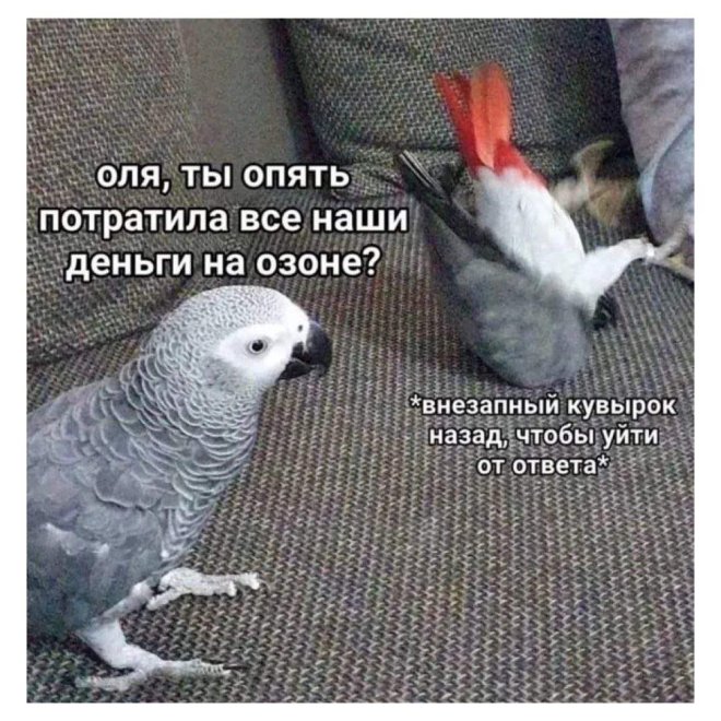 Улыбайтесь, господа, улыбайтесь! (09/06/2025)