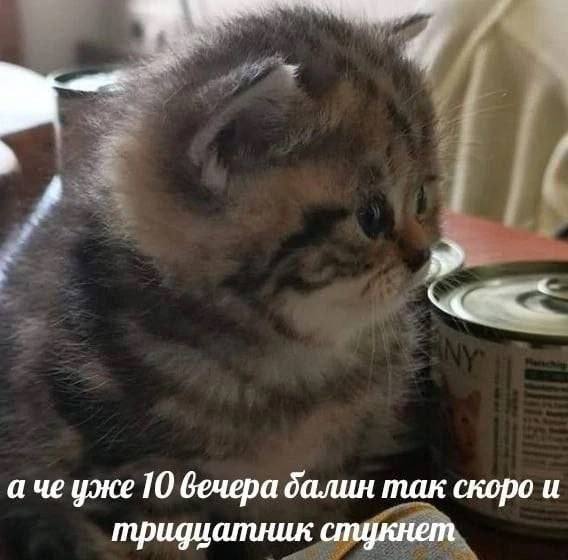 Улыбайтесь, господа, улыбайтесь! (05/06/2025)