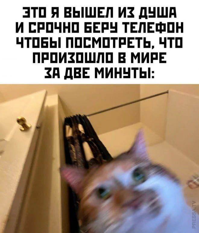 Улыбайтесь, господа, улыбайтесь! (16/09/2024)