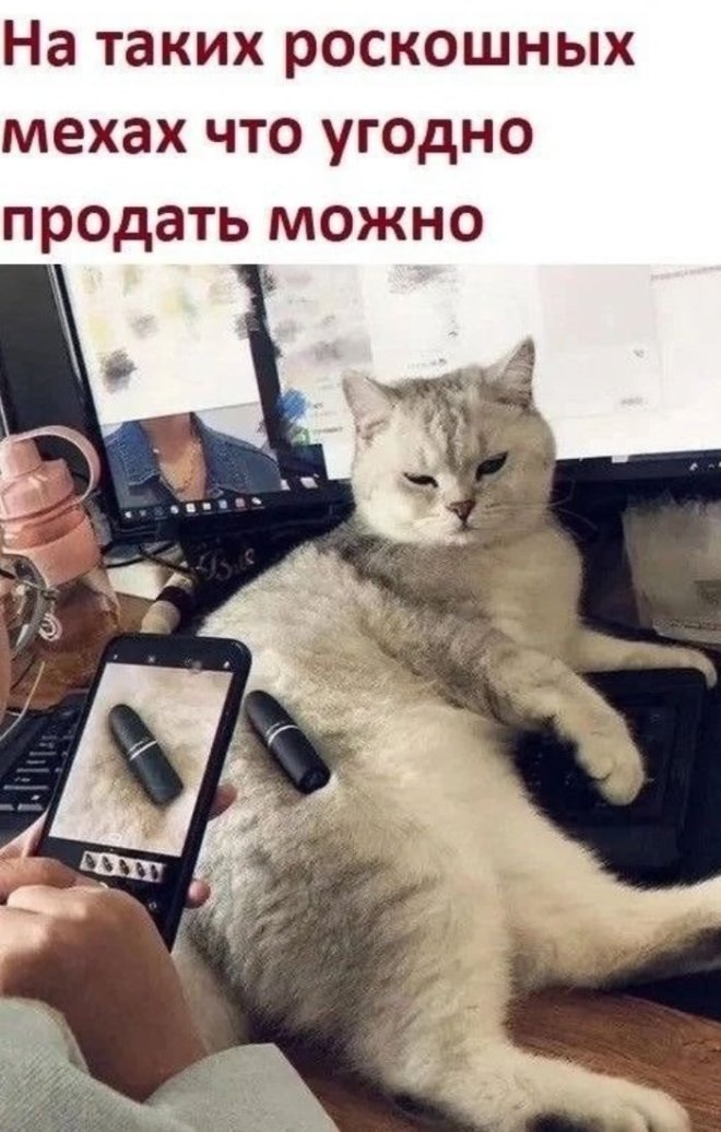 Улыбайтесь, господа, улыбайтесь! (16/04/2025)