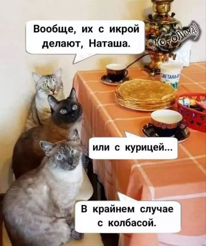 Улыбайтесь, господа, улыбайтесь! (16/12/2024)