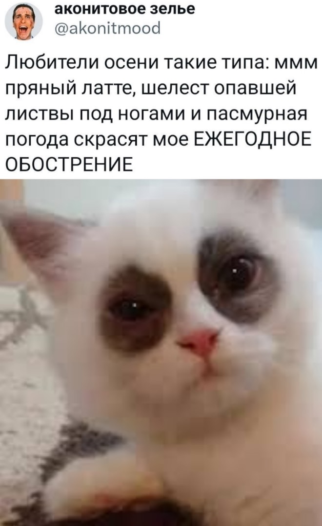 Улыбайтесь, господа, улыбайтесь! (01/10/2024)