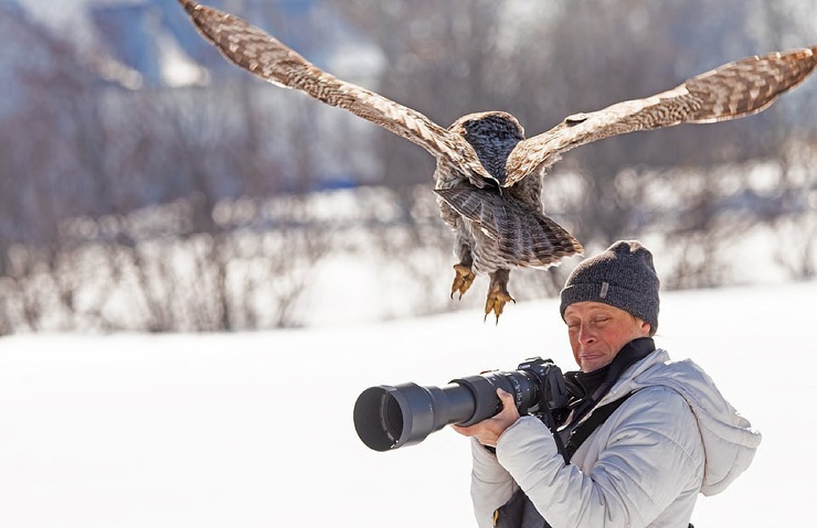 Невероятный момент: Большая серая сова села на объектив фотографа