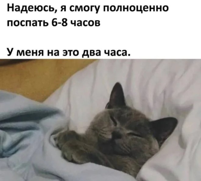 Улыбайтесь, господа, улыбайтесь! (16/04/2025)