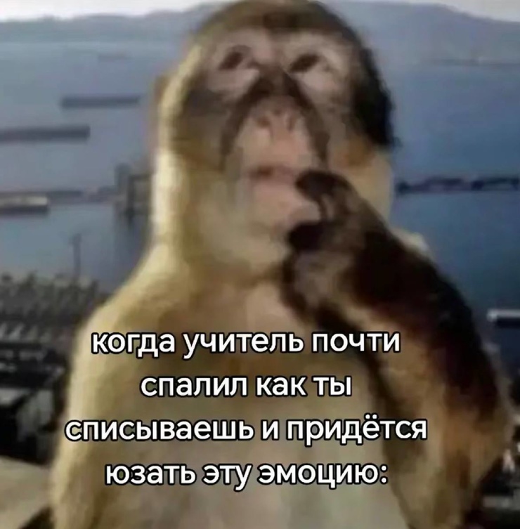 Улыбайтесь, господа, улыбайтесь! (02/05/2025)