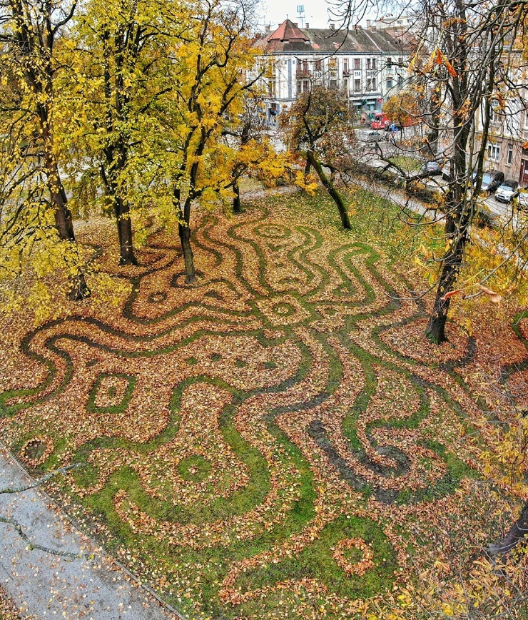 Художник из Хорватии создает картины из листьев