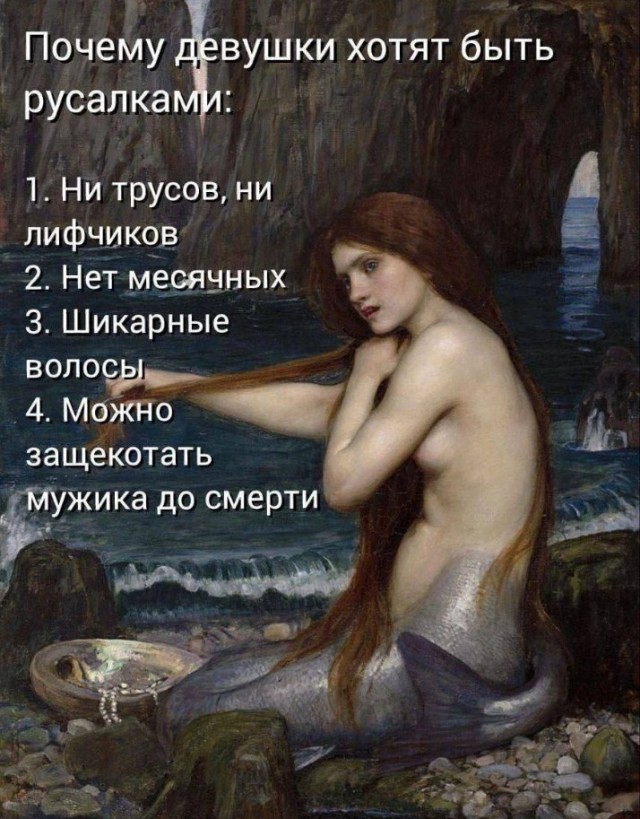 Улыбайтесь, господа, улыбайтесь! (23/12/2024)