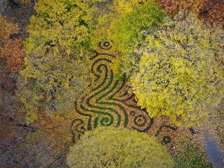 Художник из Хорватии создает картины из листьев