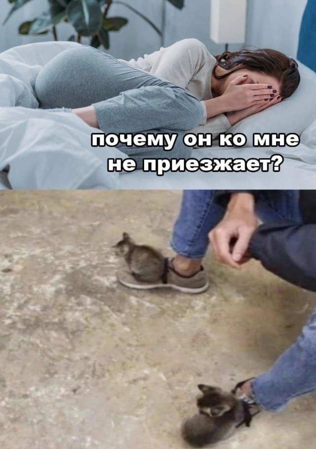 Смешные мемы