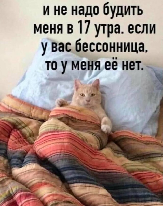 Улыбайтесь, господа, улыбайтесь! (29/11/2024)