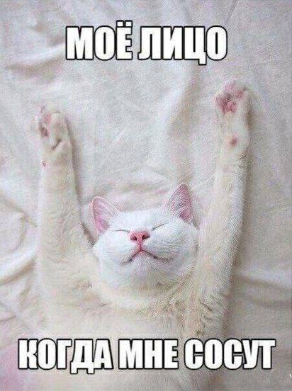 Улыбайтесь, господа, улыбайтесь! (10/03/2025)